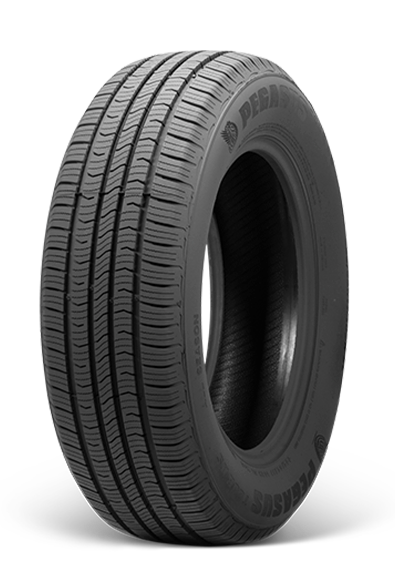 Pegasus Tour AS Tire 205 65 16 95H R16
